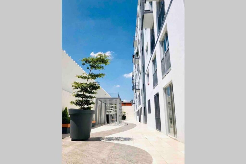 Апартаменти Departamento *Mundo Viajero* Гвадалахара Екстер'єр фото